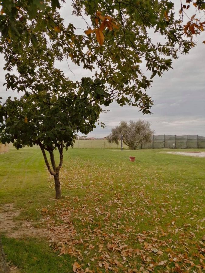 Il Bianconiglio R&B Panzió Carraie Kültér fotó